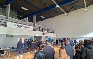 distribution survêtement 