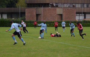 DSC_0287.JPG