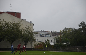 5096da0a7bb66__DSC1283.JPG