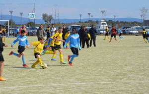 55253232e3e0d_DSC0137.JPG